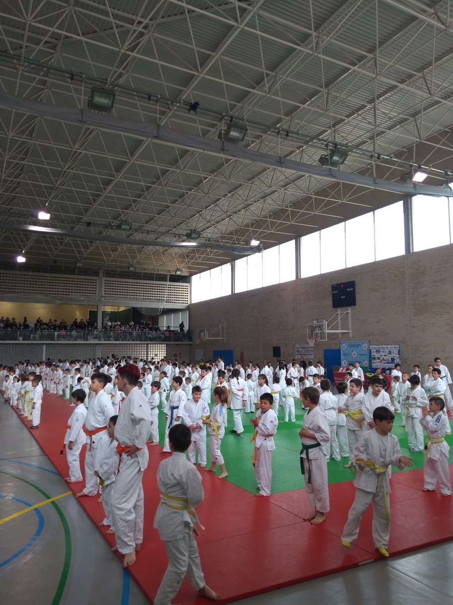 Divertida tarde en los Juegos Infantiles de Judo_Pamplona 25-05-19 FOTOS